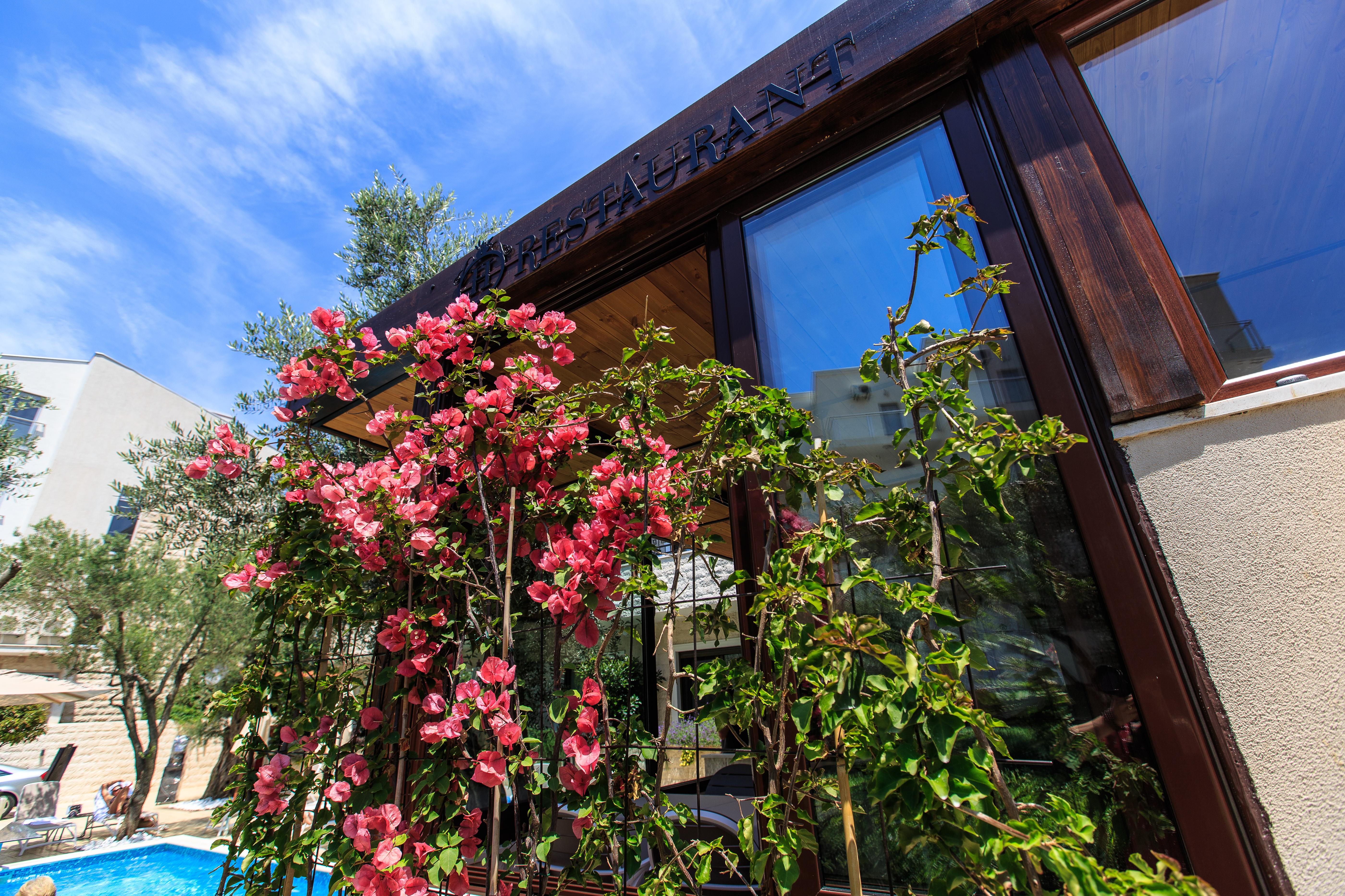 Hotel Harmony Petrovac Kültér fotó